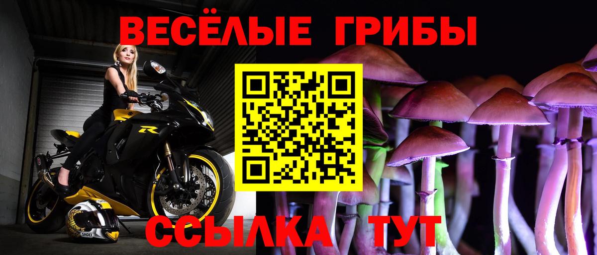 Псилоцибиновые грибы Magic Shrooms  даркнет сайт  Вход с VPN  Октябрьский  Псилоцибиновые грибы Psilocybe 