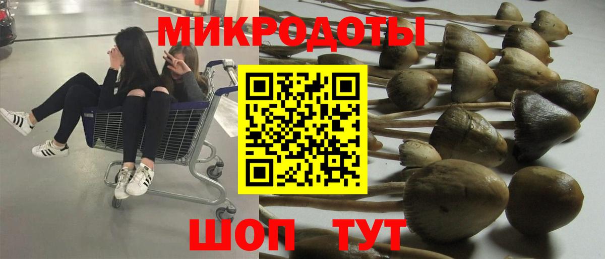 Псилоцибиновые грибы прущие грибы Октябрьский